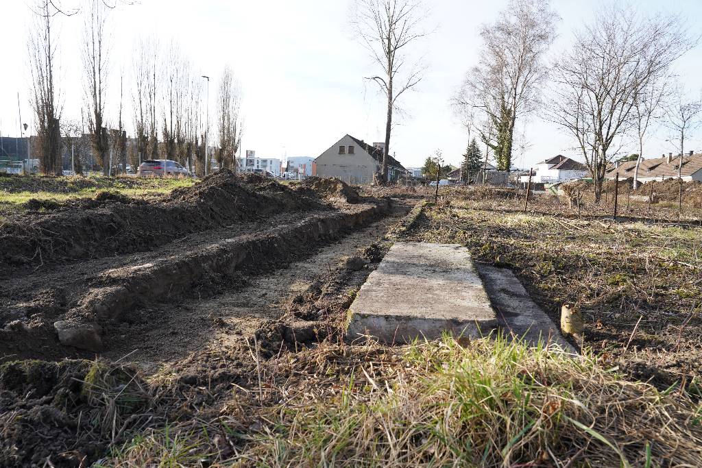 Erste archäologische Sondierungen am Gelände des ehemaligen KZ-Gusen abgeschlossen