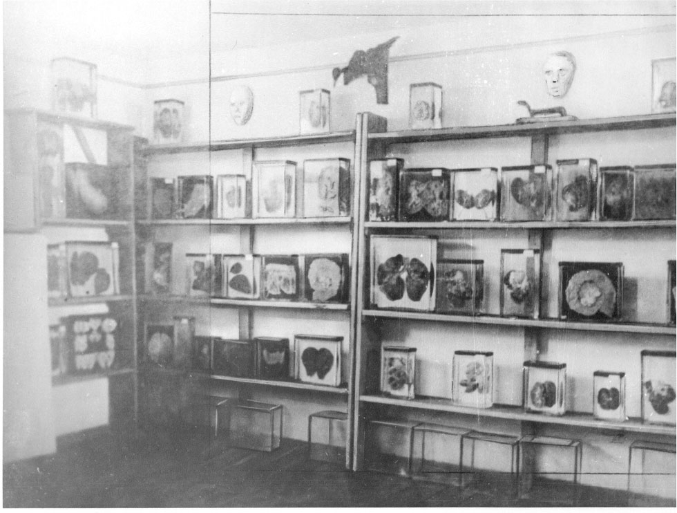 Exponate des anatomischen Museums der "Pathologischen Abteilung" in Gusen. (Foto: KZ-Gedenkstätte Mauthausen / Sammlungen)